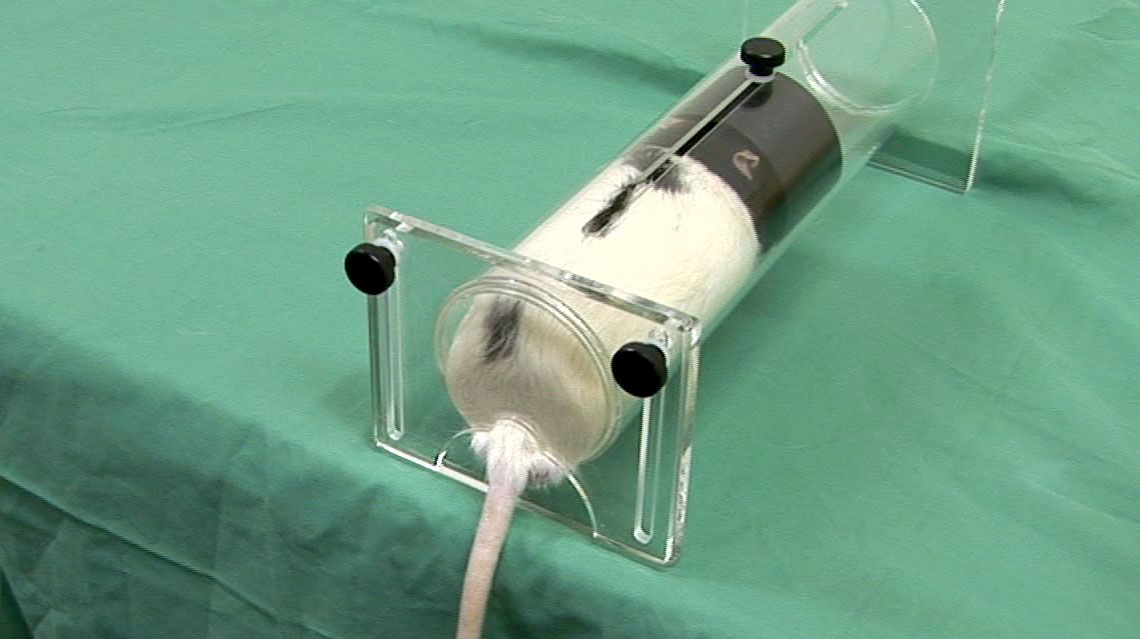 【悲報】抗うつ剤の実験に使う「ネズミを2日で鬱病にする機械」がこちら\n_1