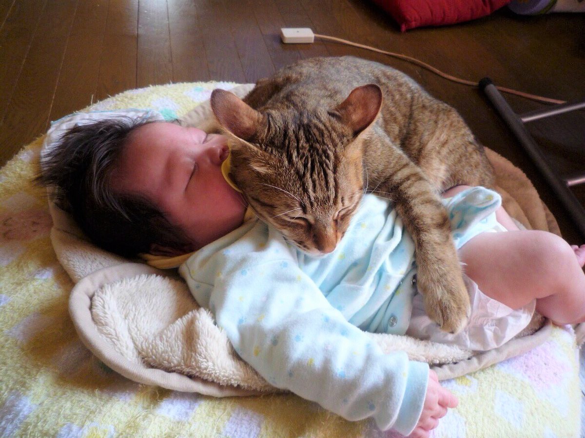 【悲報】まんこ(28)「かわいい赤ちゃんですね！抱っこさせてください！」→「オラァ！！」ﾎﾞｷﾎﾞｷ\n_1
