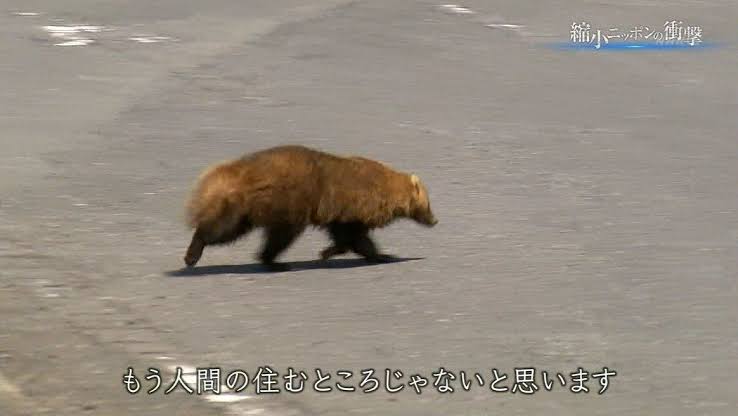 JR北海道「過疎地域は廃線します…」北海道過疎民「撤回しろ！町がさびれてしまう！」JR北海道「…」\n_3