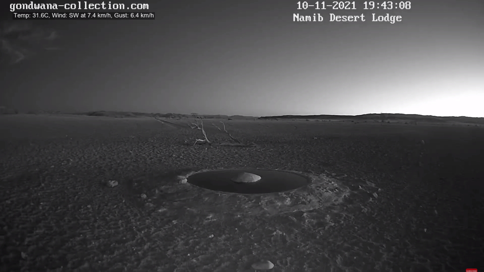 【動画】ナミブ砂漠に設置された人工水飲み場を見守るライブカメラ配信が癒されるとひそかに話題に\n_4