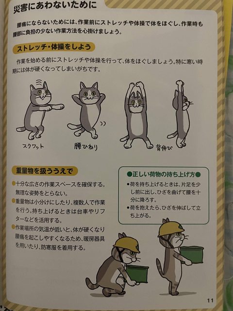 【速報】現場猫さん農水省に採用される\n_1