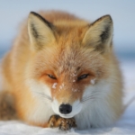 Thumbnail of post image 024