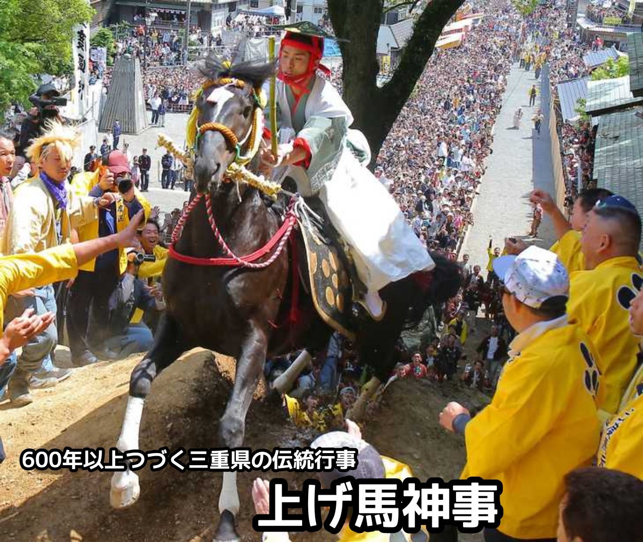 日本伝統の上げ馬神事で馬が骨折してしまい安楽○へ…案の定Twitterで大炎上競馬は許されるのに？\n_2