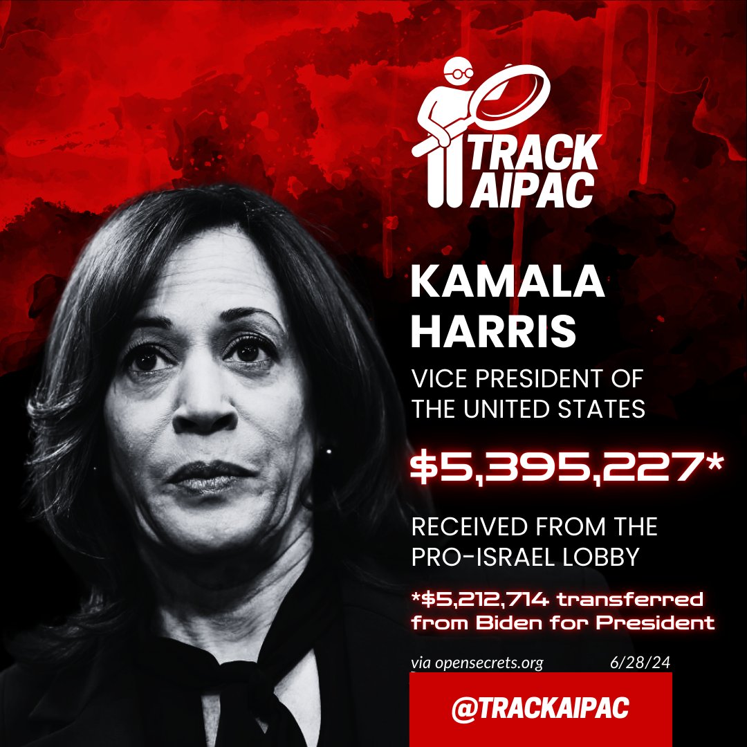 「カマラ・ハリス」➔こいつが負けた理由  [769050516]
_28_28