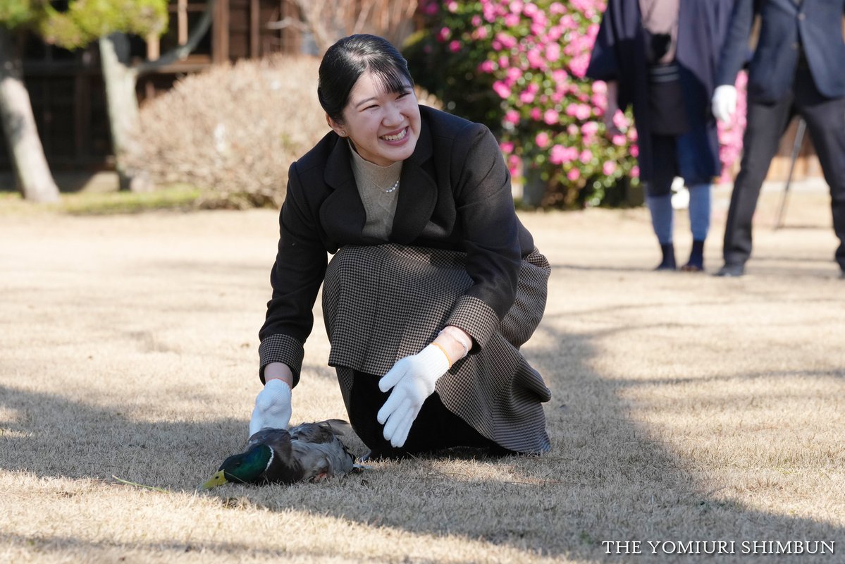 【悲報】愛子「おあ゛っぁ！」鴨を握りつぶす  [329329848]
_23_23