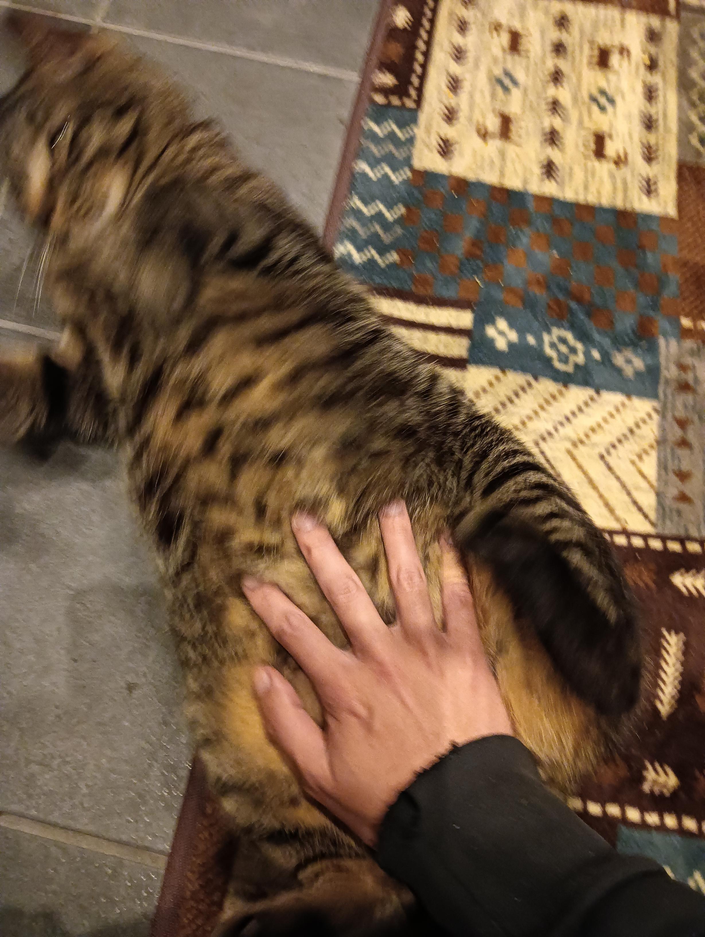 【悲報】AI動画、もう見分けるのが困難になりつつある  [782460143]
_44_44